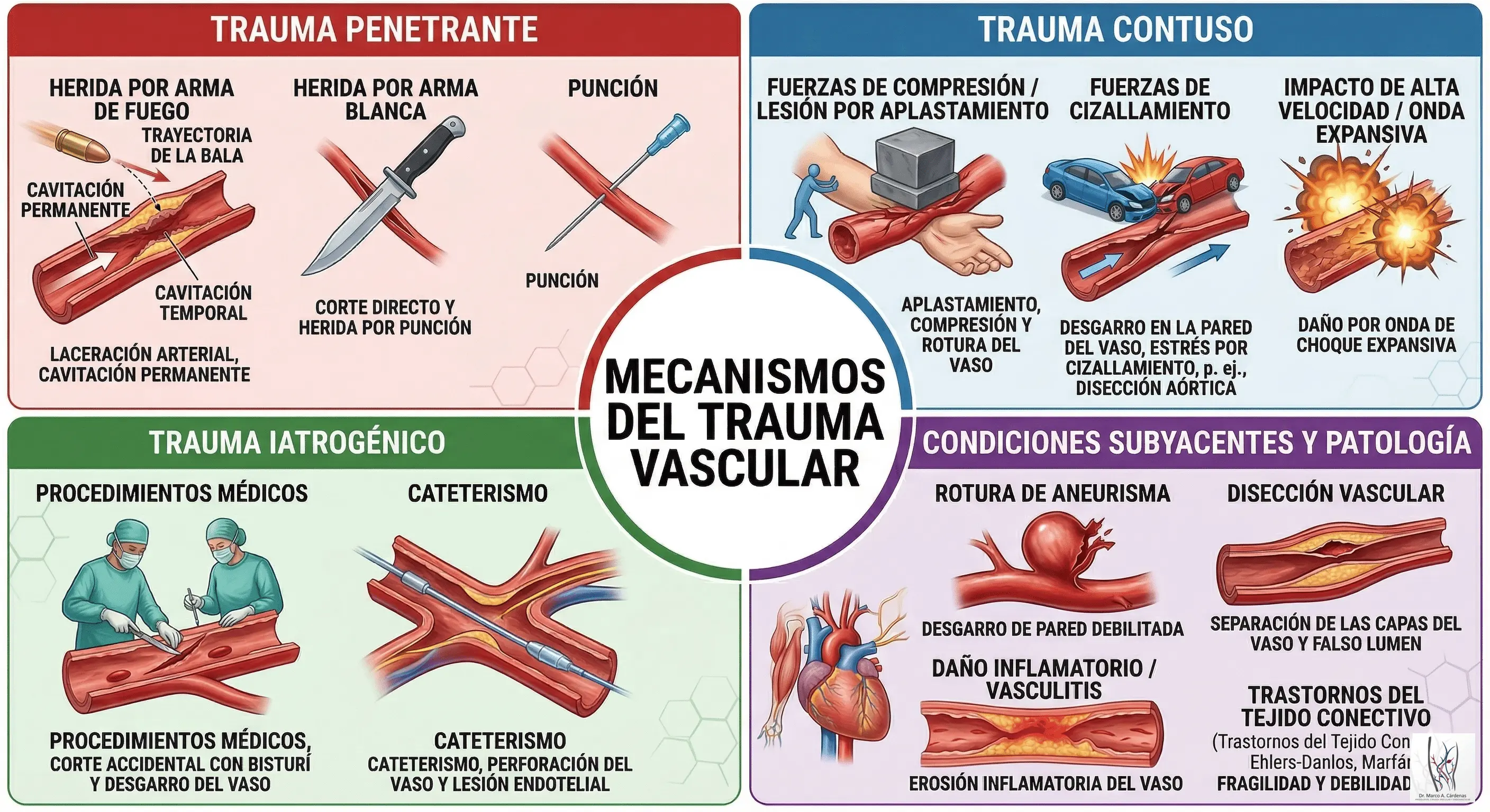 Trauma Vascular